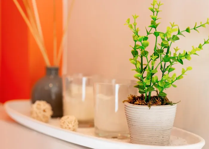 Le Marie Superbe Avec Balneo Au Coeur De * Rouen